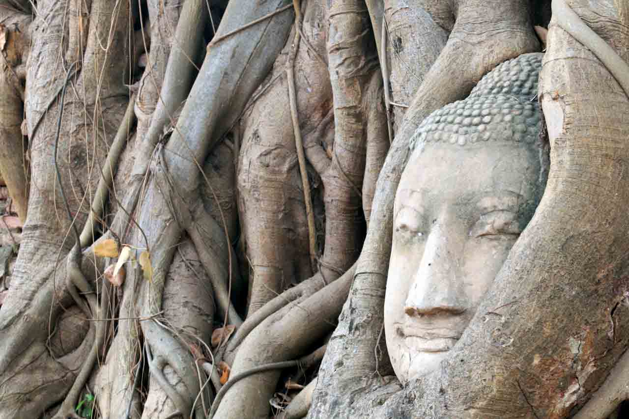 Templos e ruínas no Passeio para Ayutthaya saindo de Bangkok - Fotos por Tailandiando com guia em português