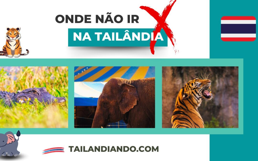 Atrações para não visitar na Tailândia