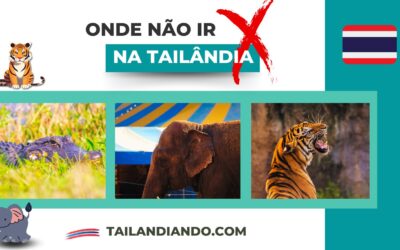Atrações para não visitar na Tailândia